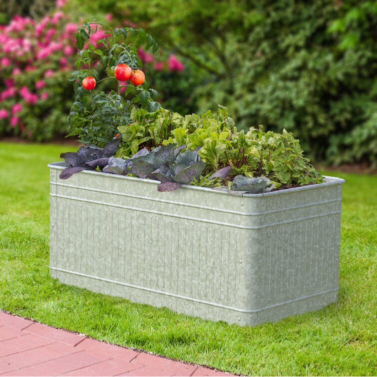 Gracie Oaks Ganley Galvanized Planter Box & Reviews | Wayfair